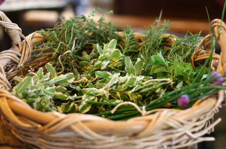 erbe selvatiche primavera