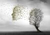 alzheimer cause e prevenzione