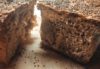 pane di avena e saraceno