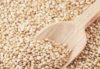 semi-di-quinoa