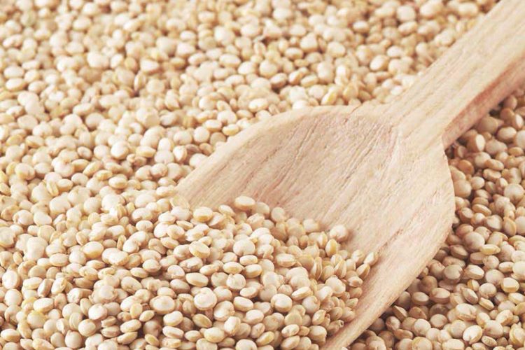 semi-di-quinoa